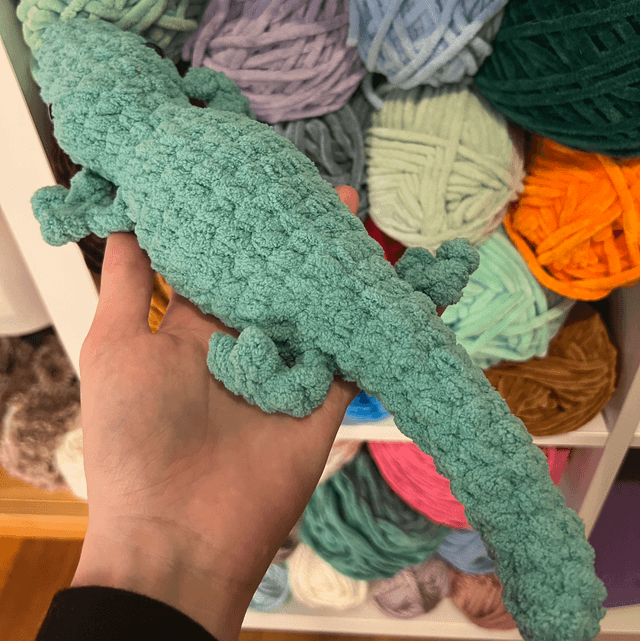 Lézard 🦎 