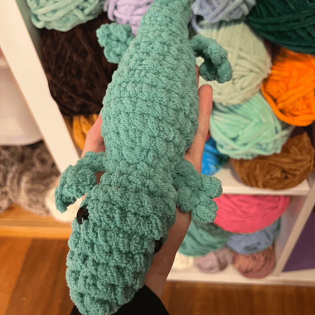 Lézard 🦎 