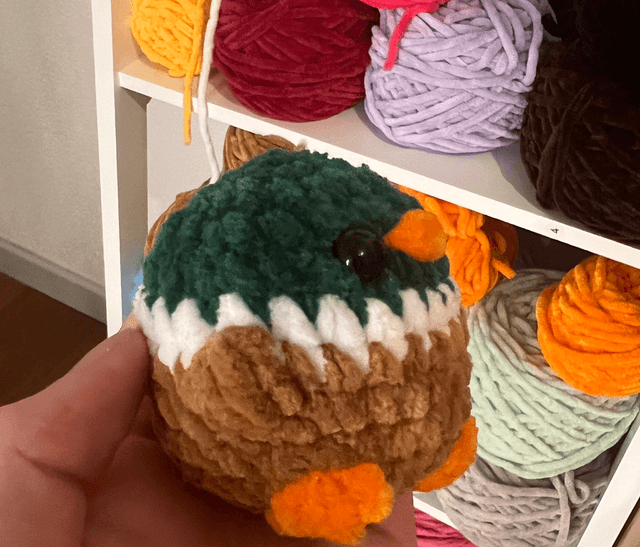 Canard 🦆 