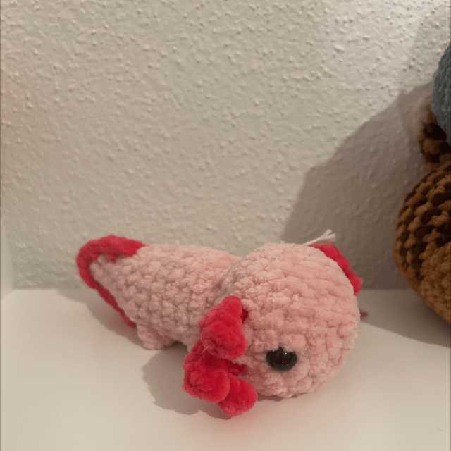 Axolotl 