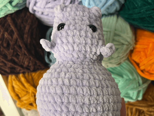 Hippopotame 🦛 