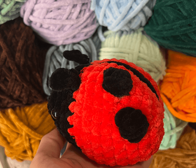Coccinelle 🐞 
