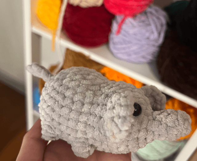Éléphant 🐘 
