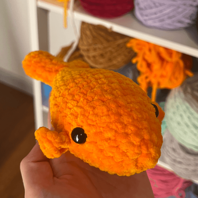 Poisson orange 🐟 