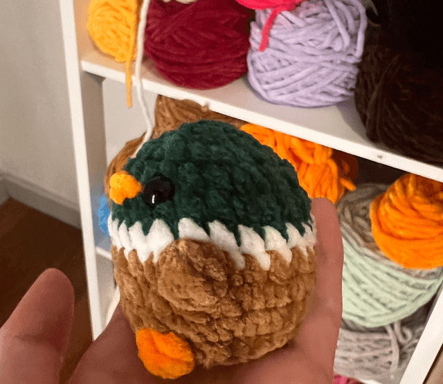 Canard 🦆 