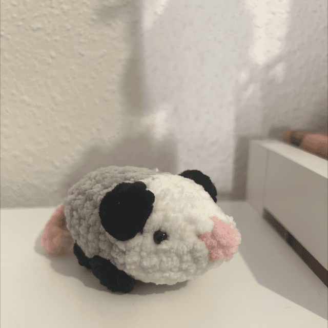 Opossum 🐁
