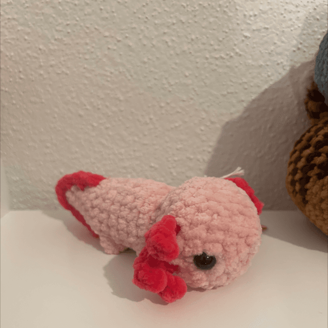 Axolotl 