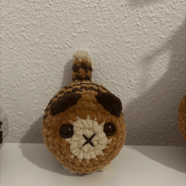 Chat - Moyen 🐱